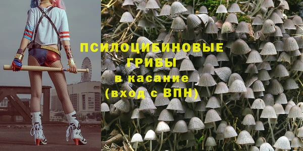 не бодяженный Алзамай