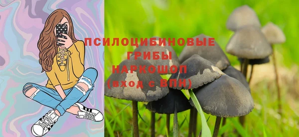 ECSTASY Алексеевка
